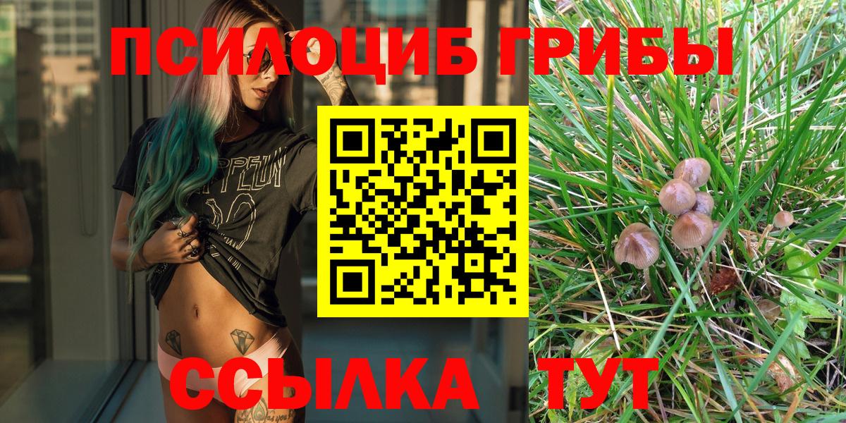 Галлюциногенные грибы MAGIC MUSHROOMS  Вход с VPN  хочу   Хасавюрт 